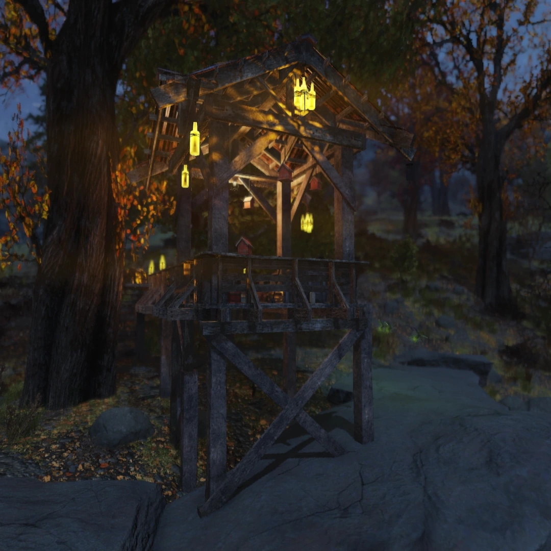 野鳥観察者のプラットフォーム