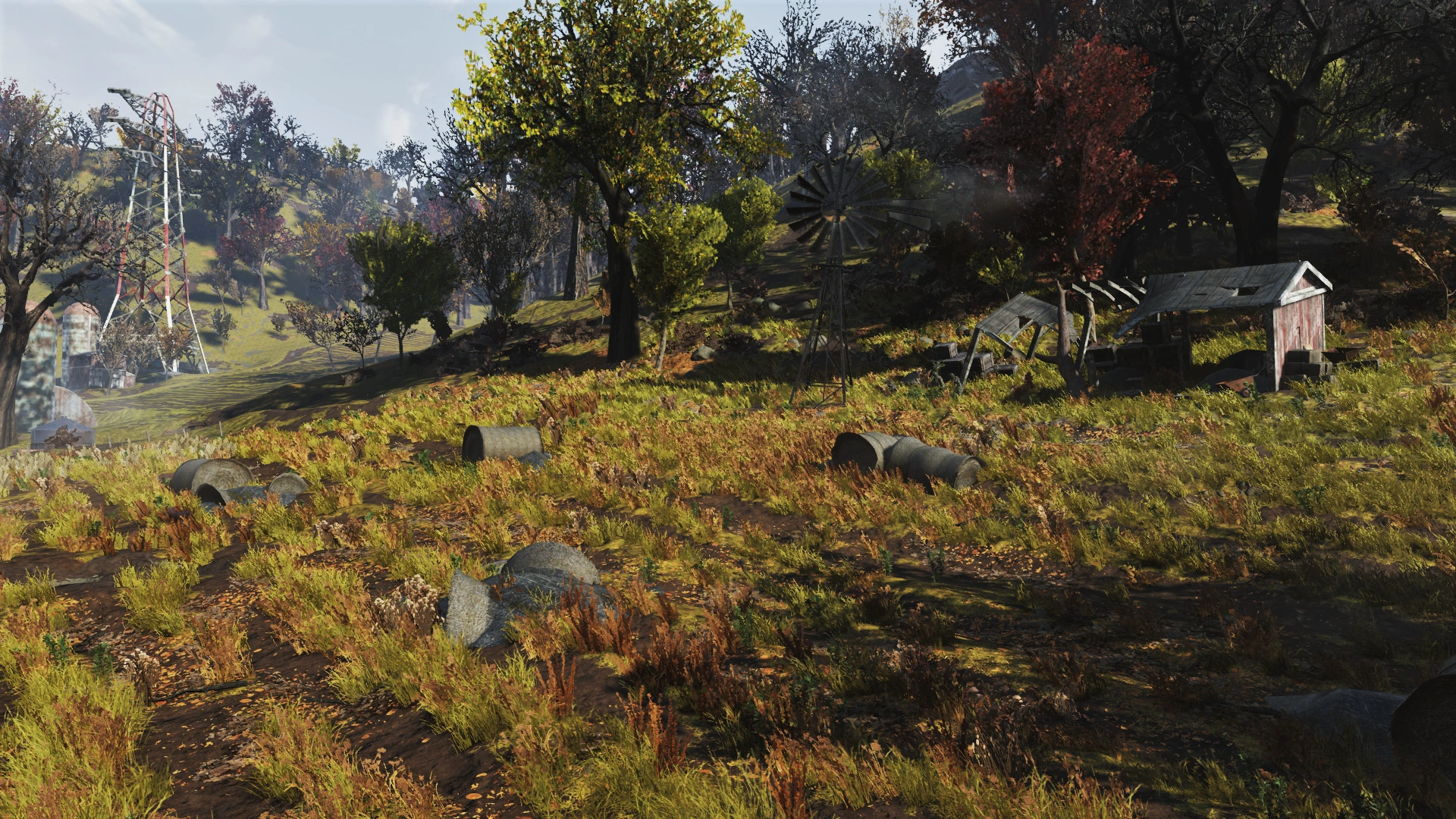 Ruined shack south of the house