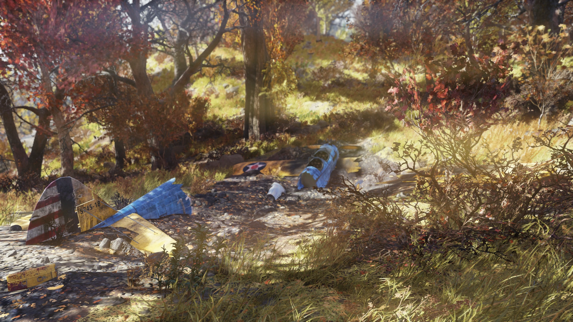 複葉機の墜落現場