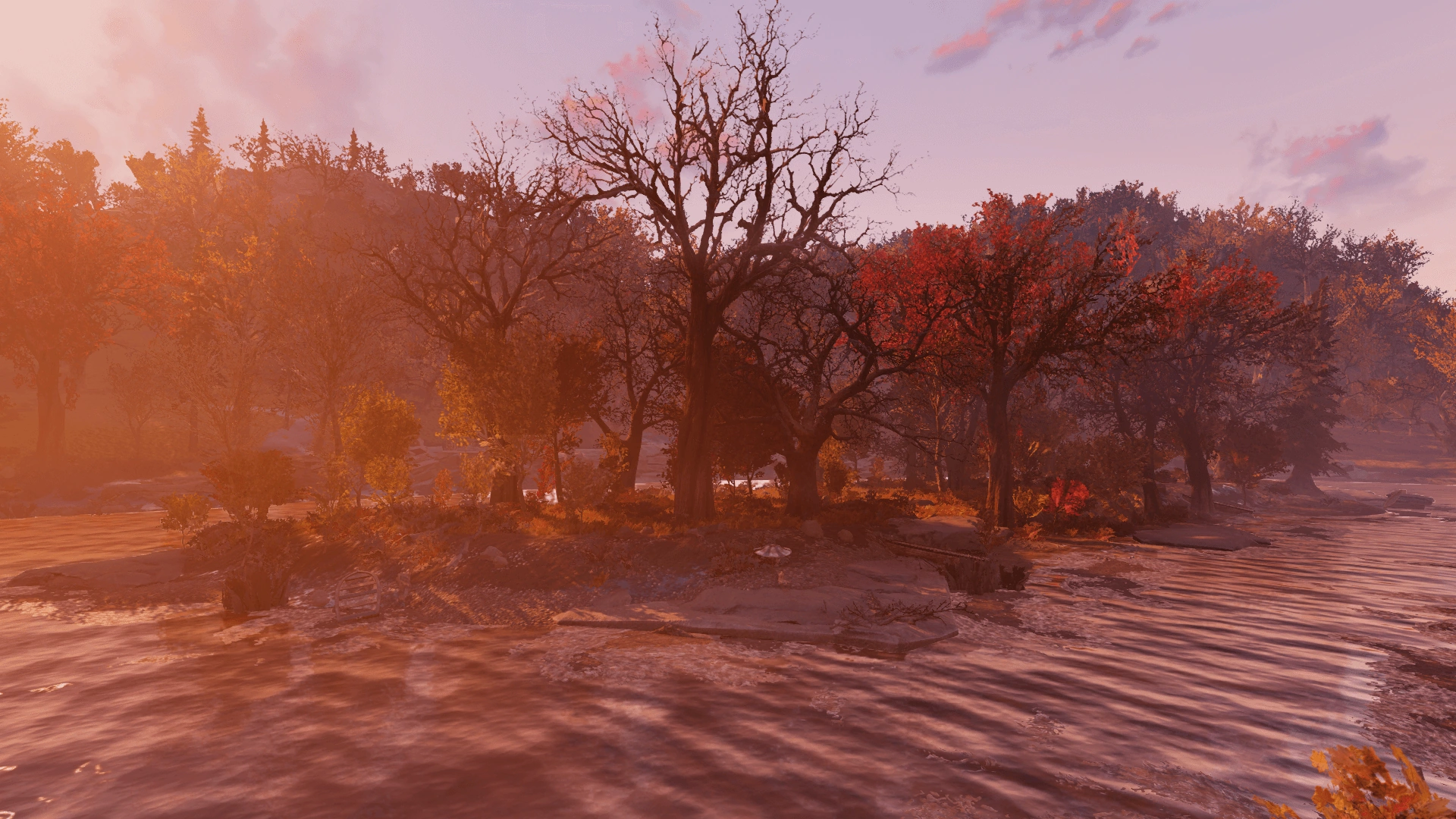 img_sunlight.png