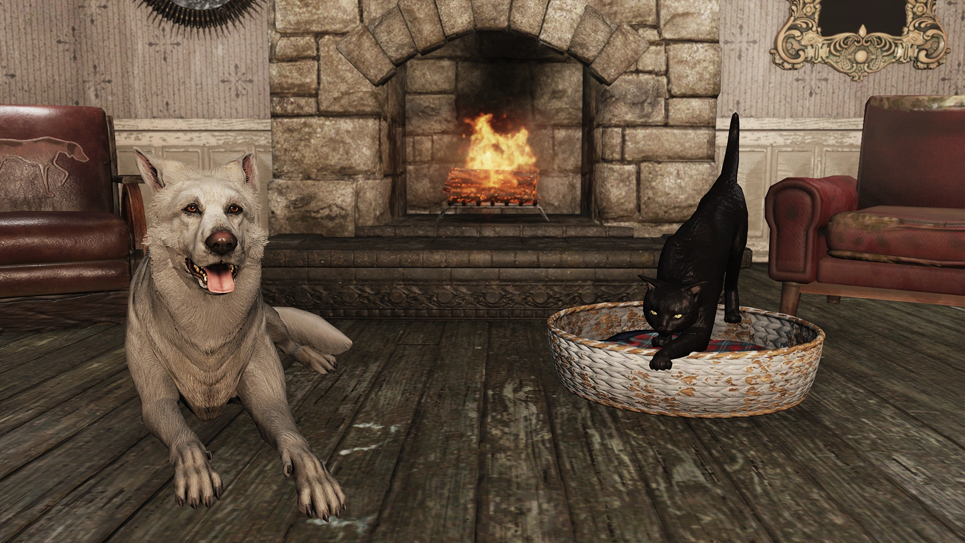 Bombay cat and white German shepherd