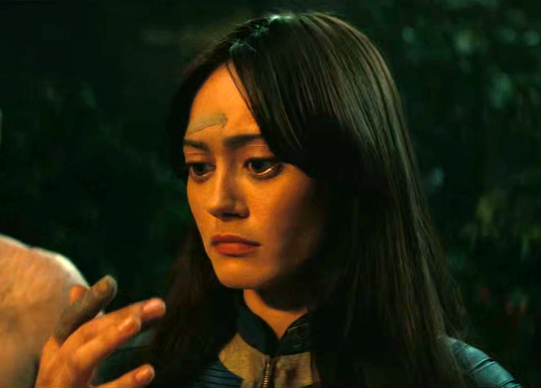 シェイディ・サンズの犠牲者の灰