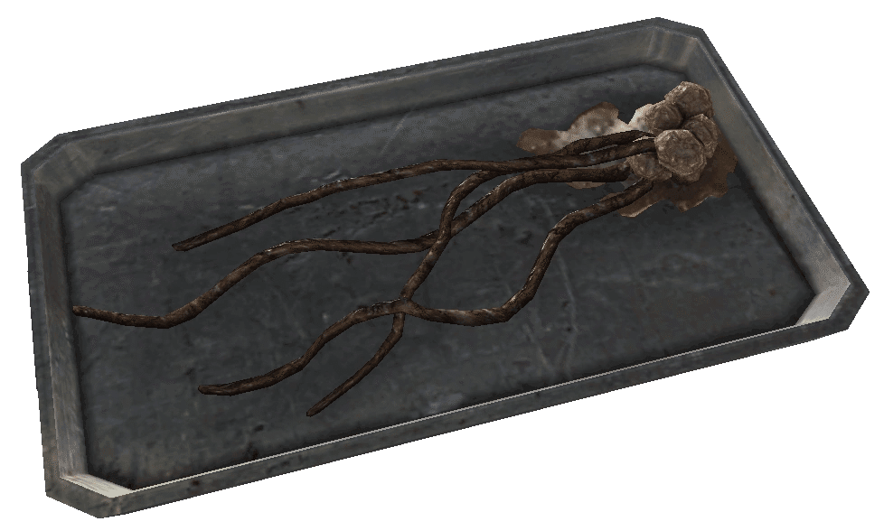 エイリアンの食用生物